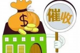 鼎湖催账公司联系方式：高效解决债务难题